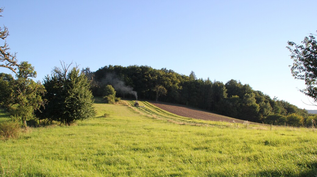Der Gipfelbereich des Steinküppels bei Mömbris