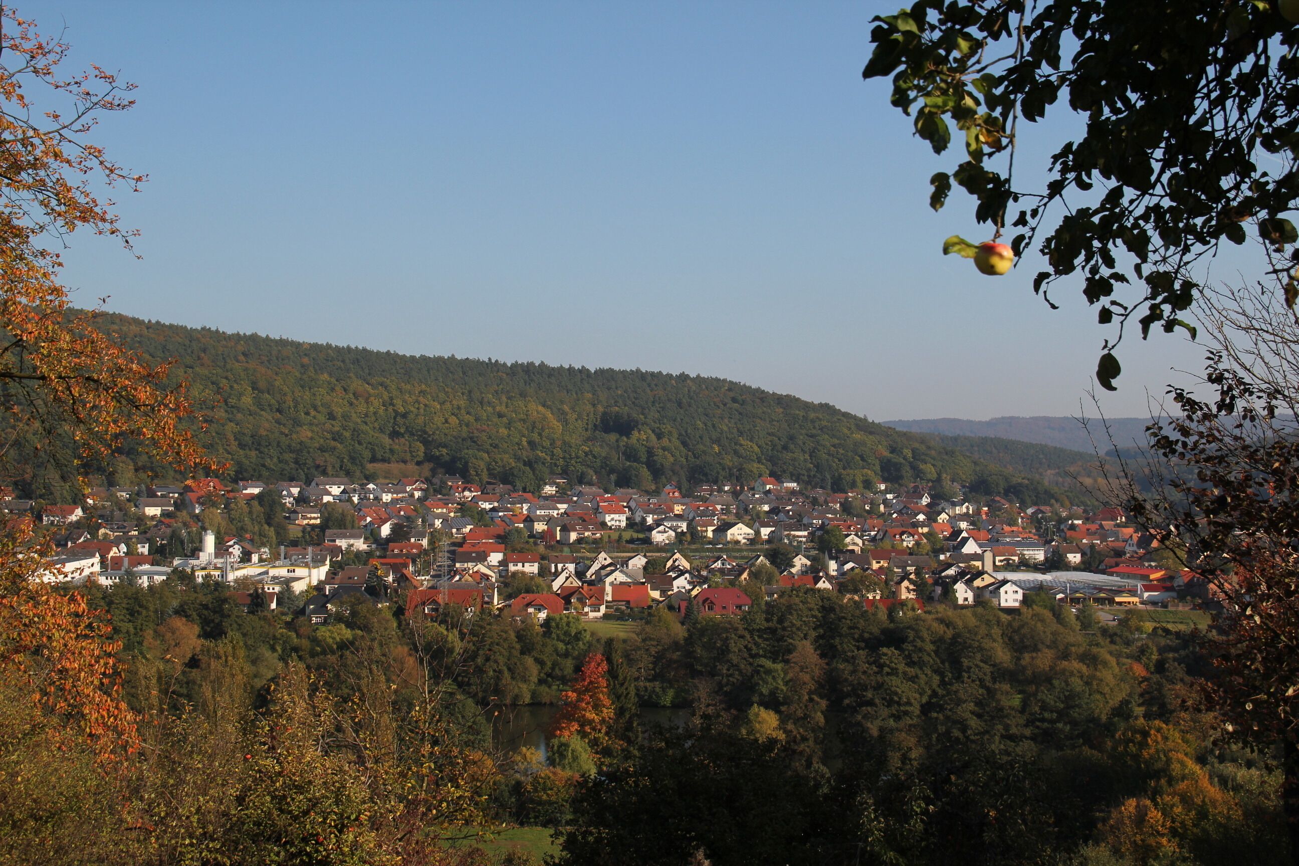 A town nestled in a valley with red-roofed houses, surrounded by dense forests and hills.