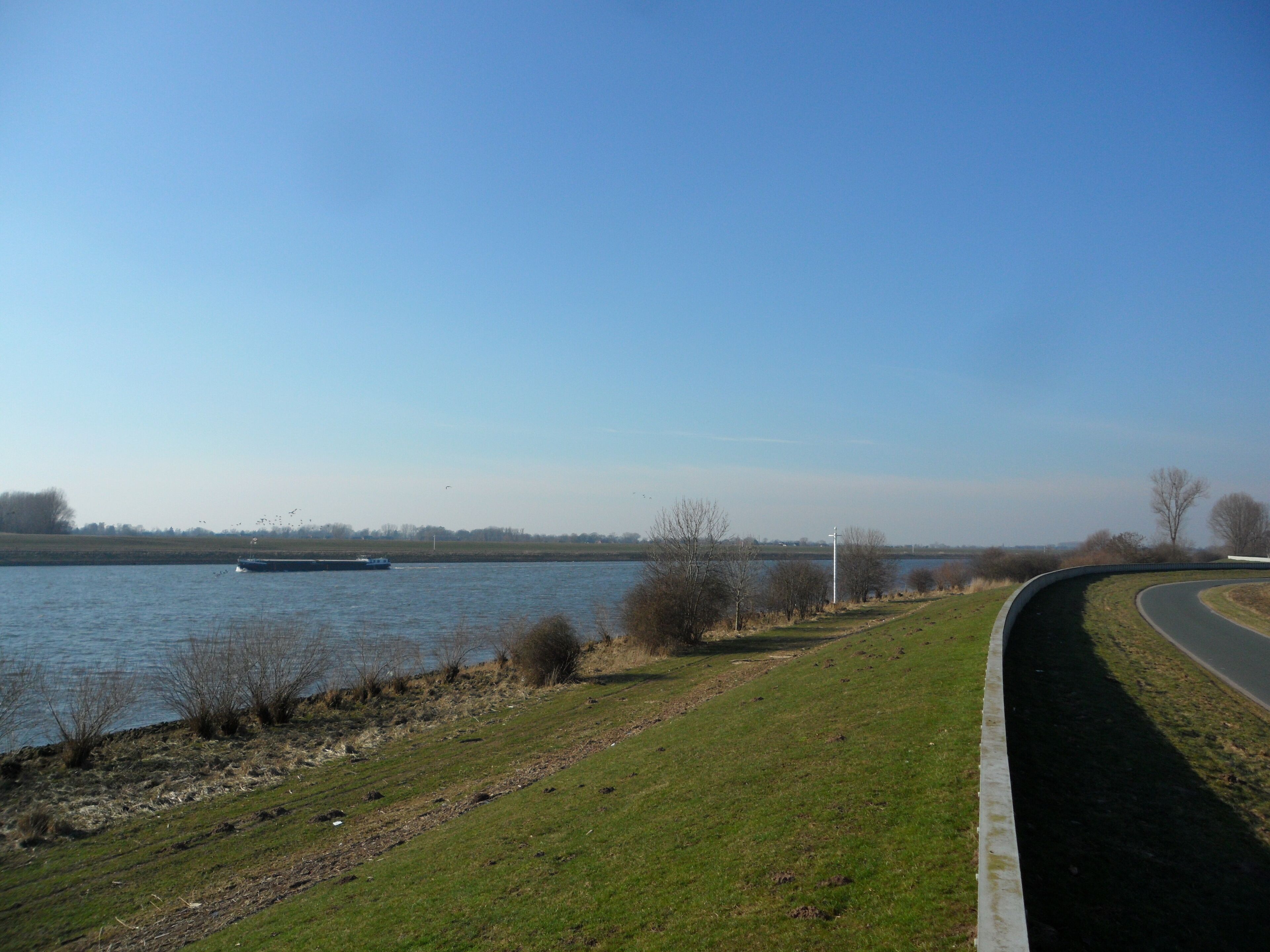 Weser