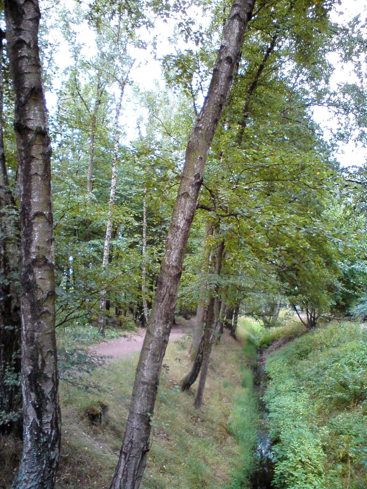 Langenhorn (Hamburg) (Germany): The spring of the Raakmoorgraben