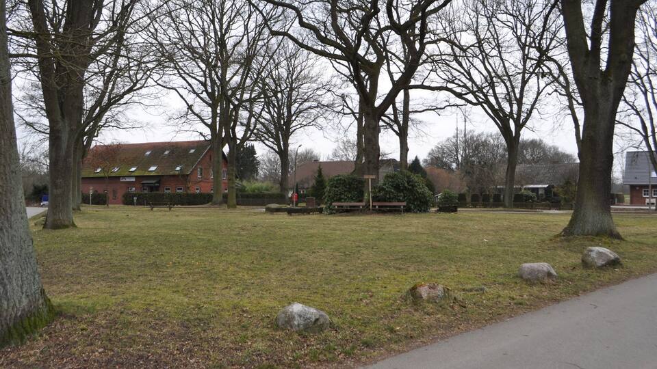 A park with trees, a grassy area, a bench, and a building in the background.
