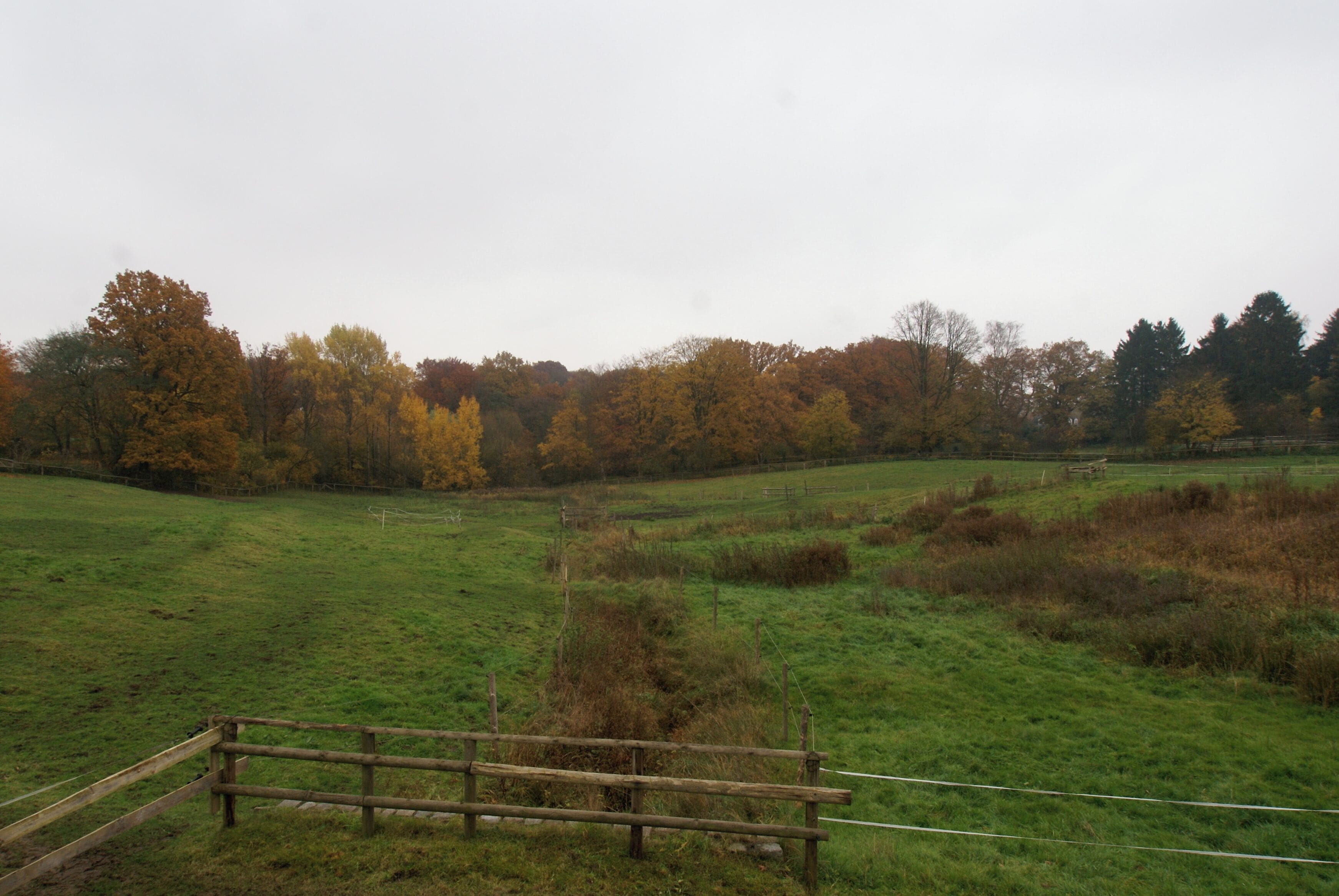 Hamburg (Lemsahl-Mellingstedt), Germany: The river Horstbek near to the Kielbarg in eastwards