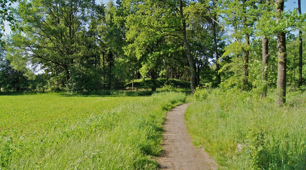 This is a photograph of an architectural monument. It is on the list of cultural monuments of Hamburg, no. 565