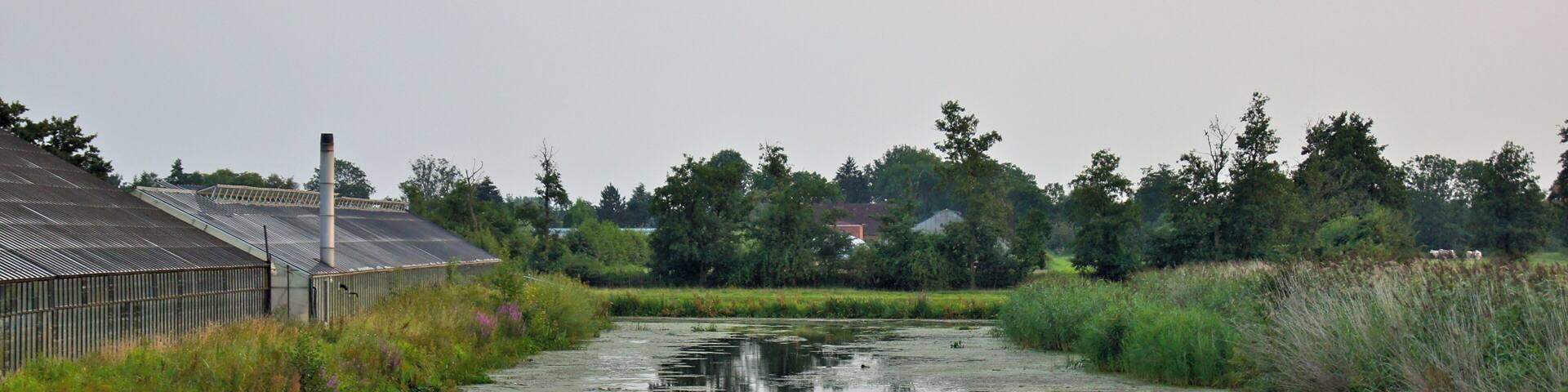 Hamburg (Neuengamme), Germany: The Neuengammer Durchstich fleeds into the Gose Elbe