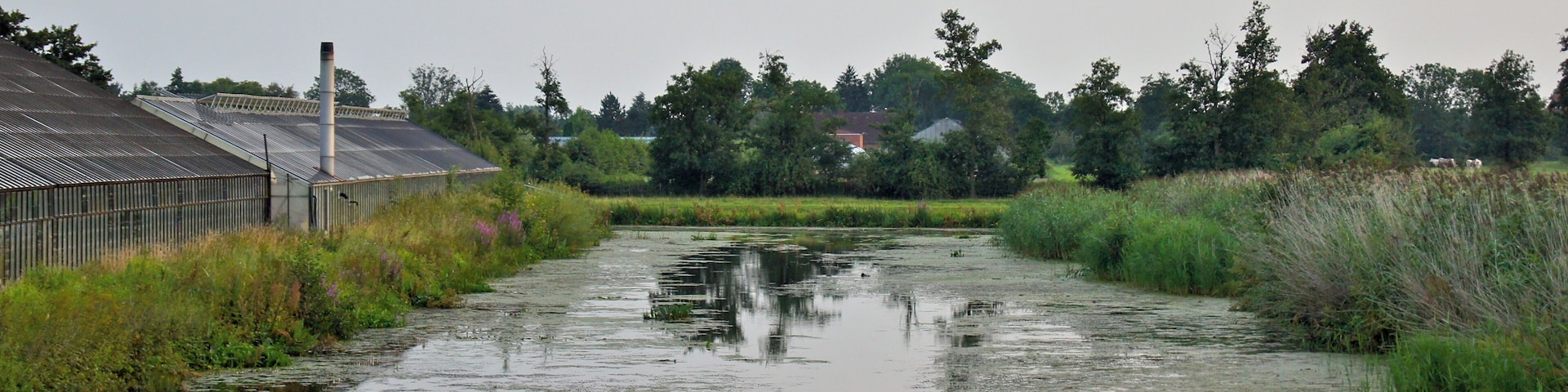 Hamburg (Neuengamme), Germany: The Neuengammer Durchstich fleeds into the Gose Elbe