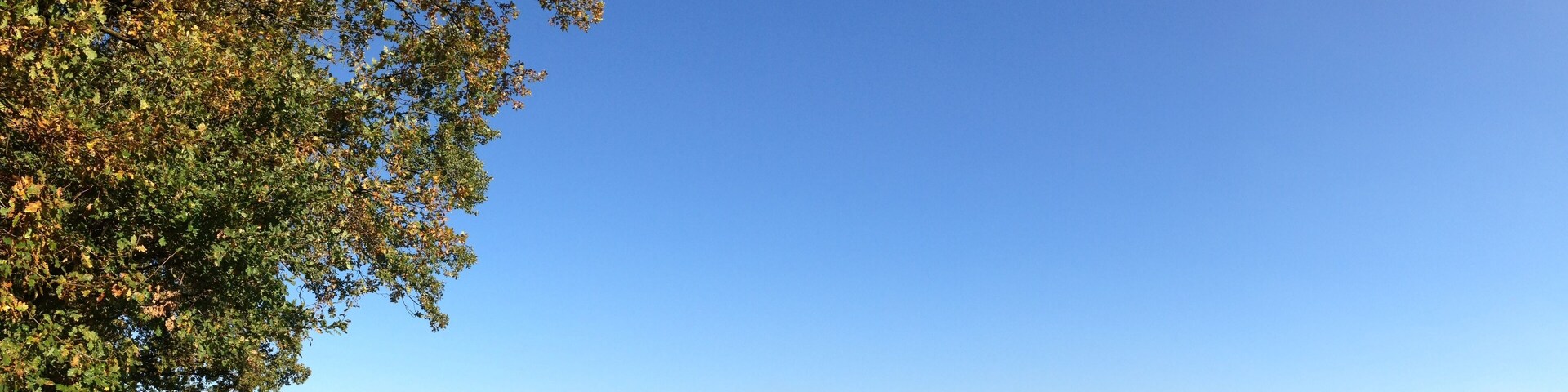Strahlend blauer Himmel ĂŒber einer groĂen Wiese im Duvenstedter Brook.