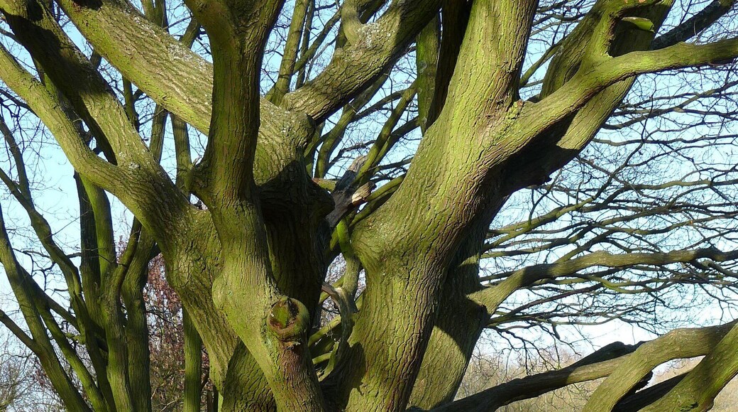 Zusammen ist man weniger allein