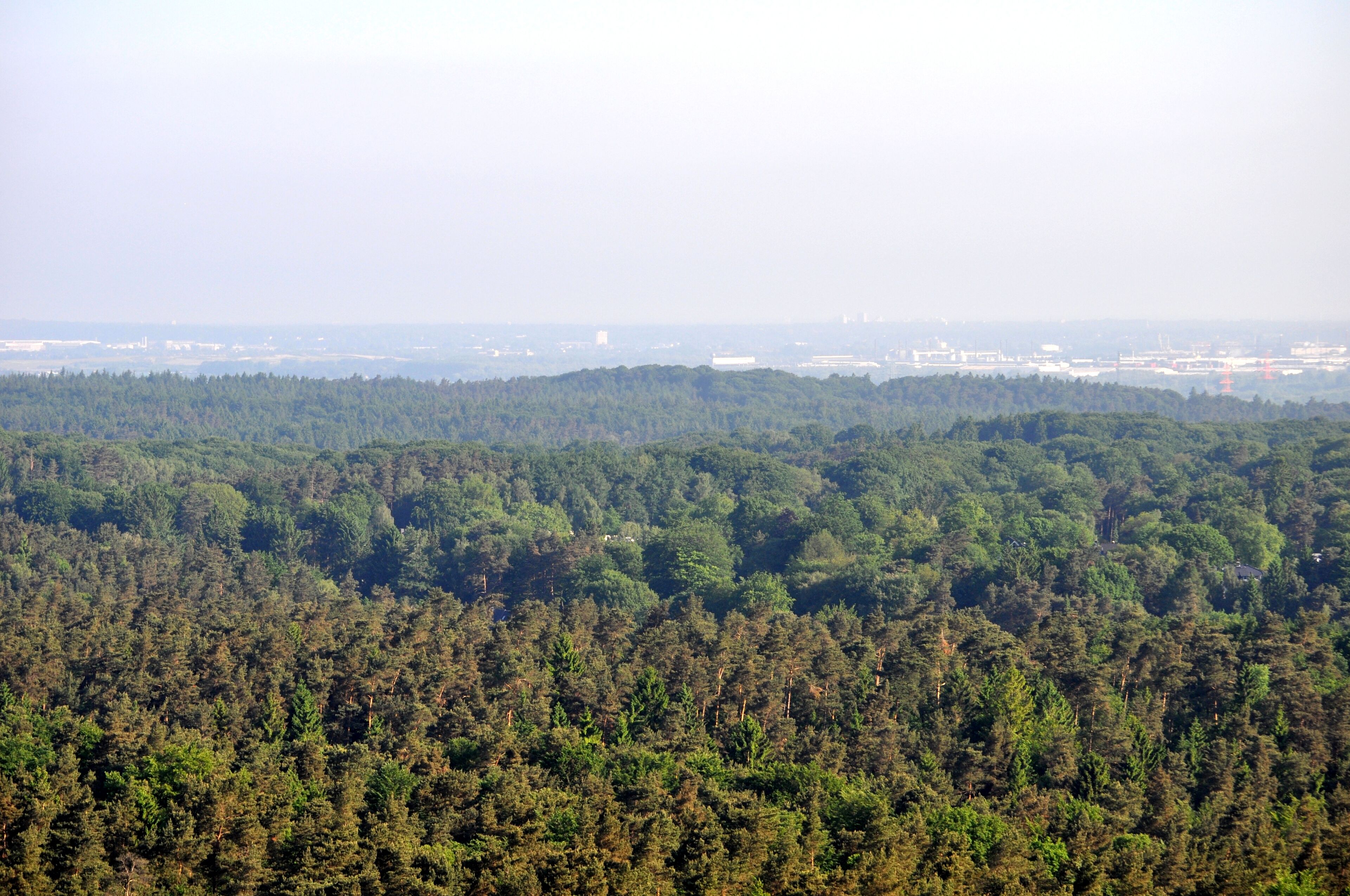 Blick über Hamburg-Eißendorf auf den Staatsforst Hamburg in Hamburg-Heimfeld, im Hintergrund Hamburg-Altenwerder.