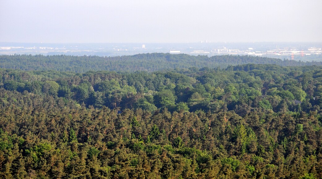 Blick über Hamburg-Eißendorf auf den Staatsforst Hamburg in Hamburg-Heimfeld, im Hintergrund Hamburg-Altenwerder.