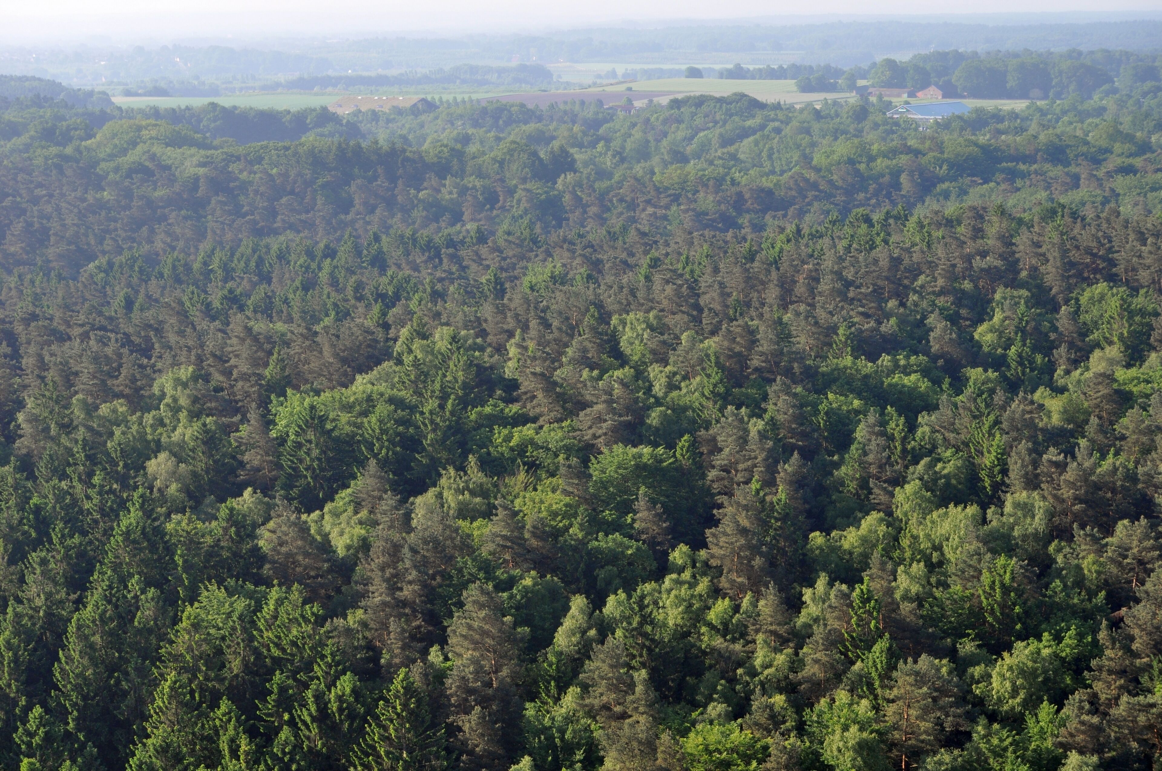 Staatsforst Hamburg in Hamburg-Eißendorf.