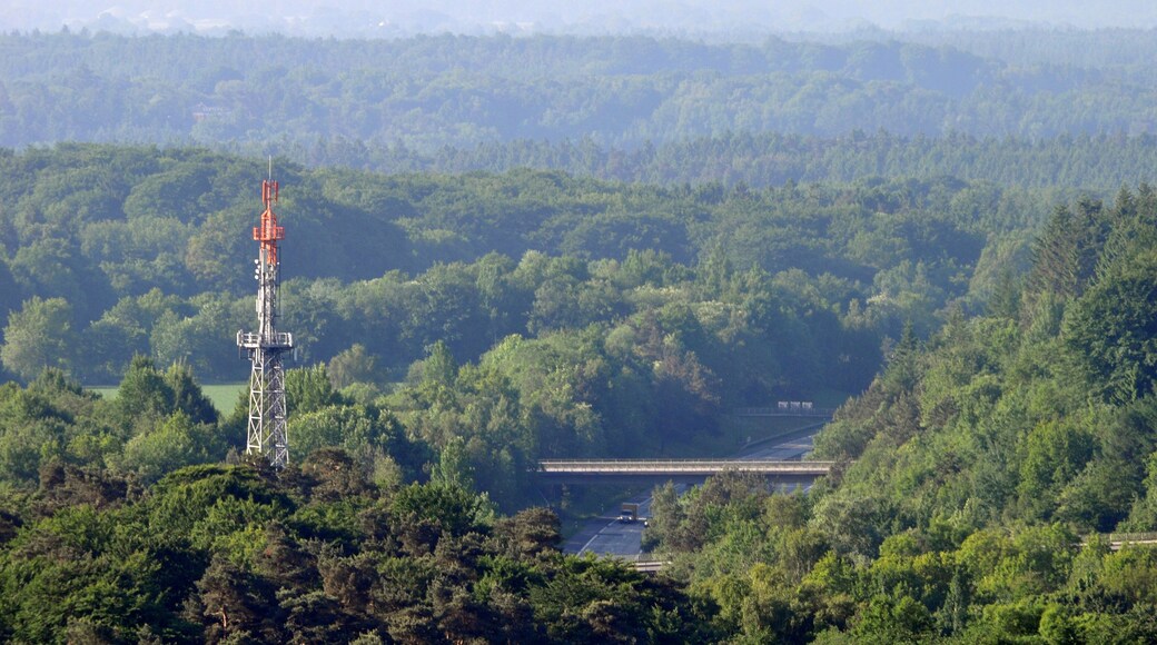 Antennenmast am Autobahndreieck Hamburg-Südwest in Hamburg-Eißendorf.