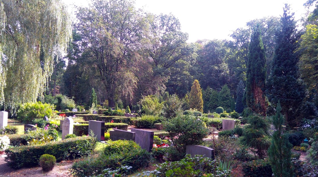 Blick auf den Friedhof Marienwerder