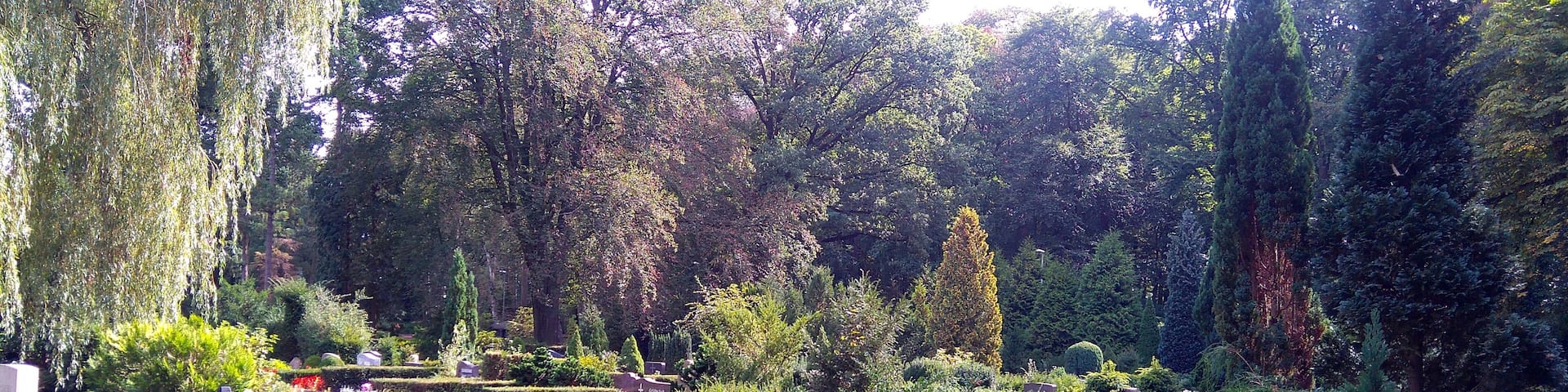 Blick auf den Friedhof Marienwerder