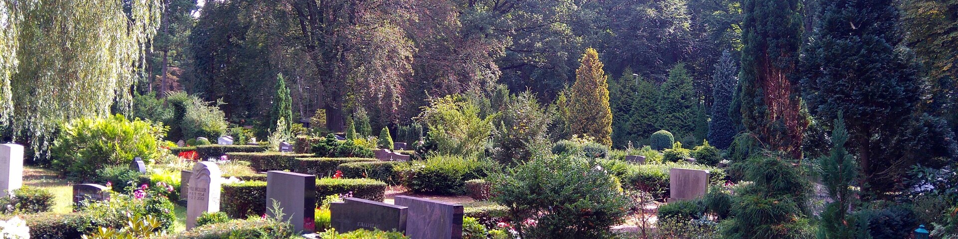 Blick auf den Friedhof Marienwerder