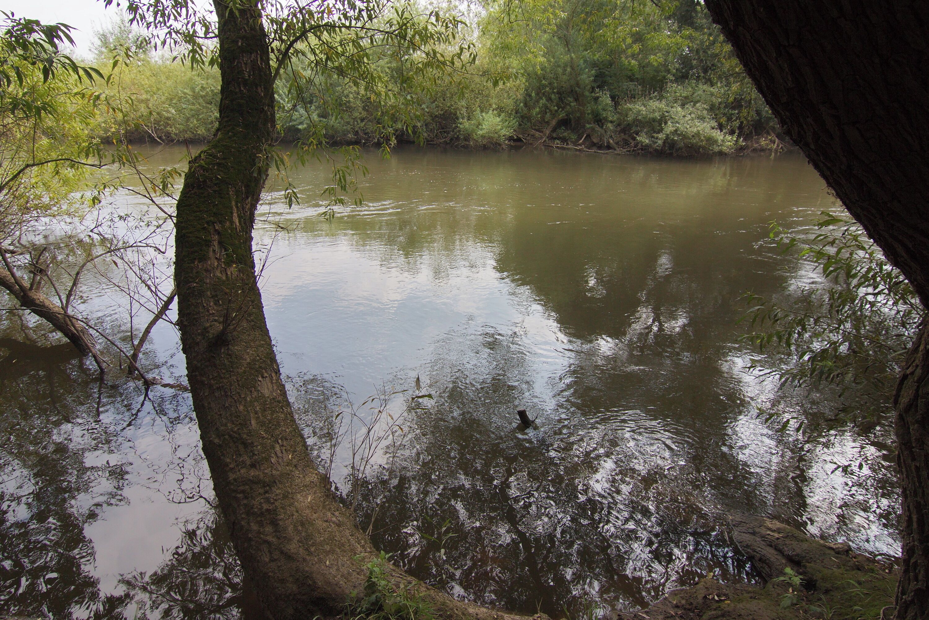 Leineblick im Hinüberschen Garten in Marienwerder (Hannover), Niedersachsen, Deutschland