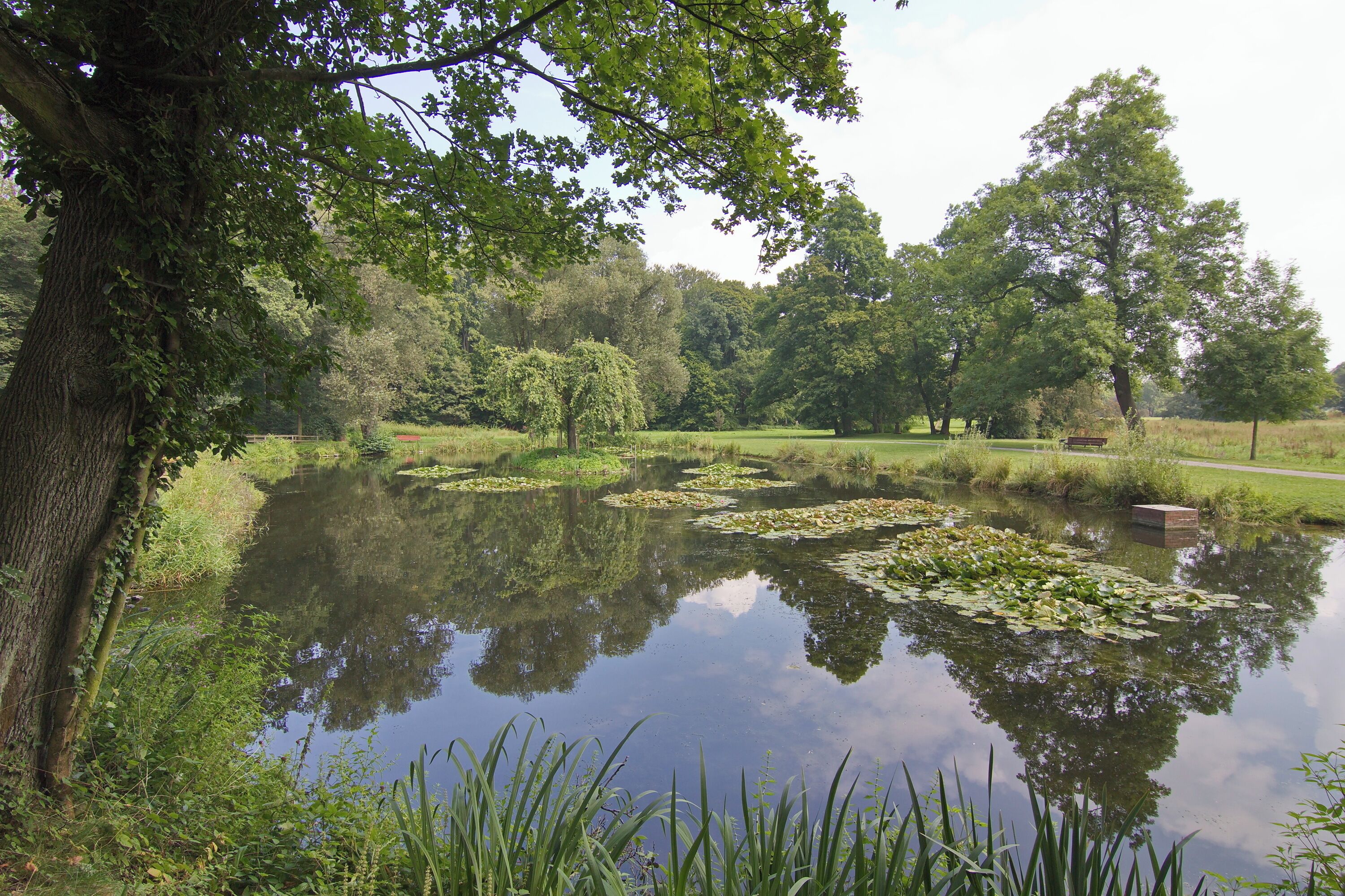 Teich im Hinüberschen Garten in Marienwerder (Hannover), Niedersachsen, Deutschland