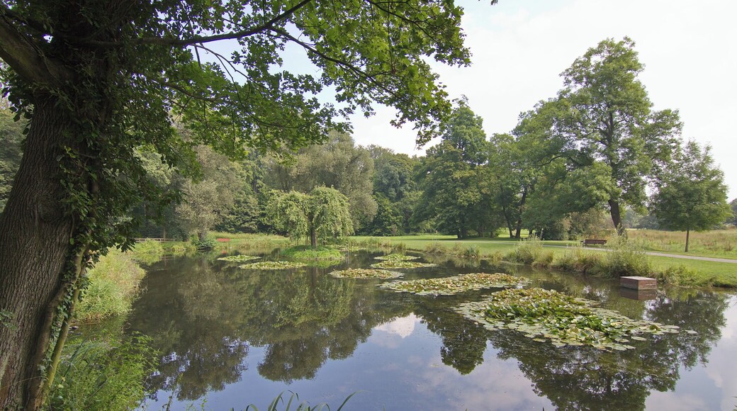 Teich im Hinüberschen Garten in Marienwerder (Hannover), Niedersachsen, Deutschland