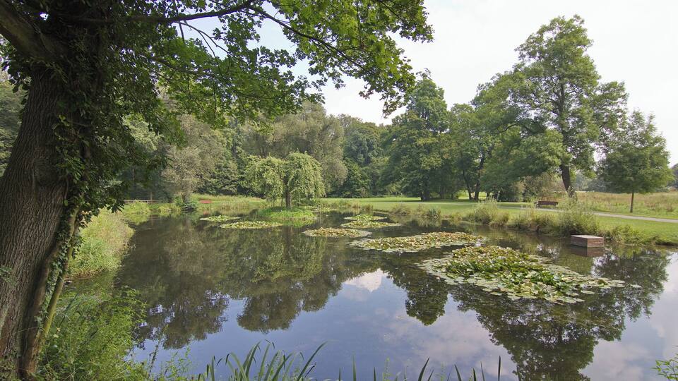 Teich im Hinüberschen Garten in Marienwerder (Hannover), Niedersachsen, Deutschland