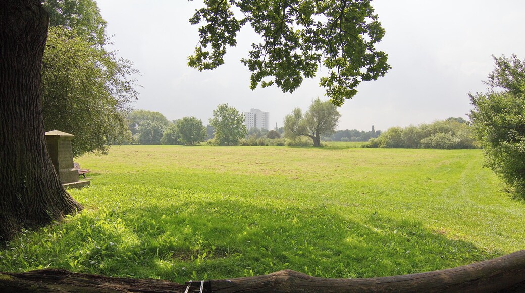 Blick im Hinüberschen Garten in Marienwerder (Hannover), Niedersachsen, Deutschland