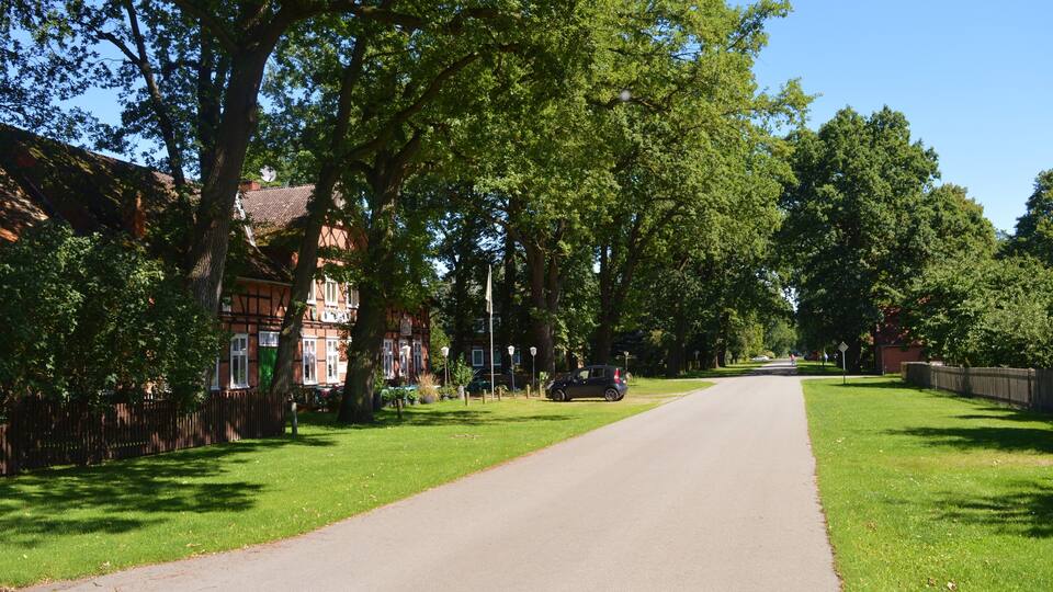 A tree-lined street with a narrow road, a traditional building, and a clear blue sky.