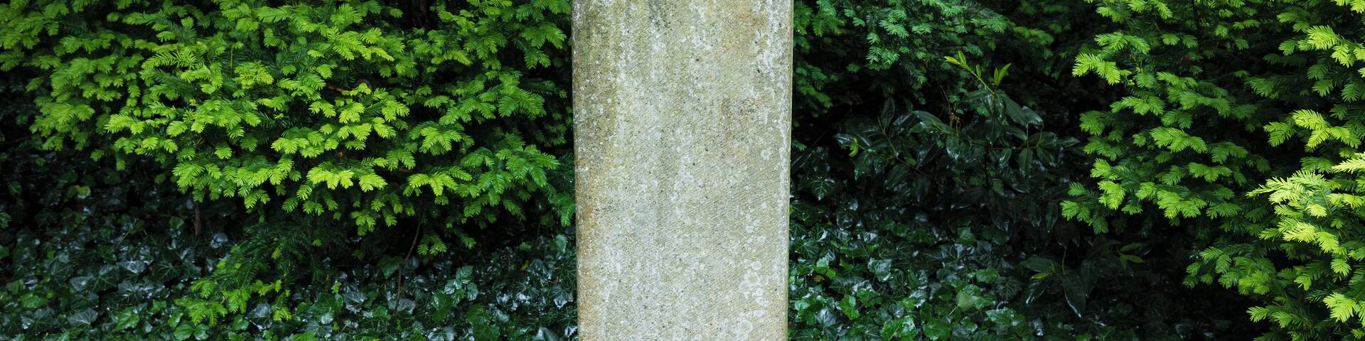 Grave and tombstone of Otto Hahn at the historic city cemetery (Stadtfriedhof) in Göttingen, Germany.
