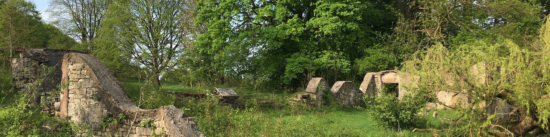 Hinterer Teil der Gutsruine auf dem Kerstlingeröder Feld (NSG BR 125)