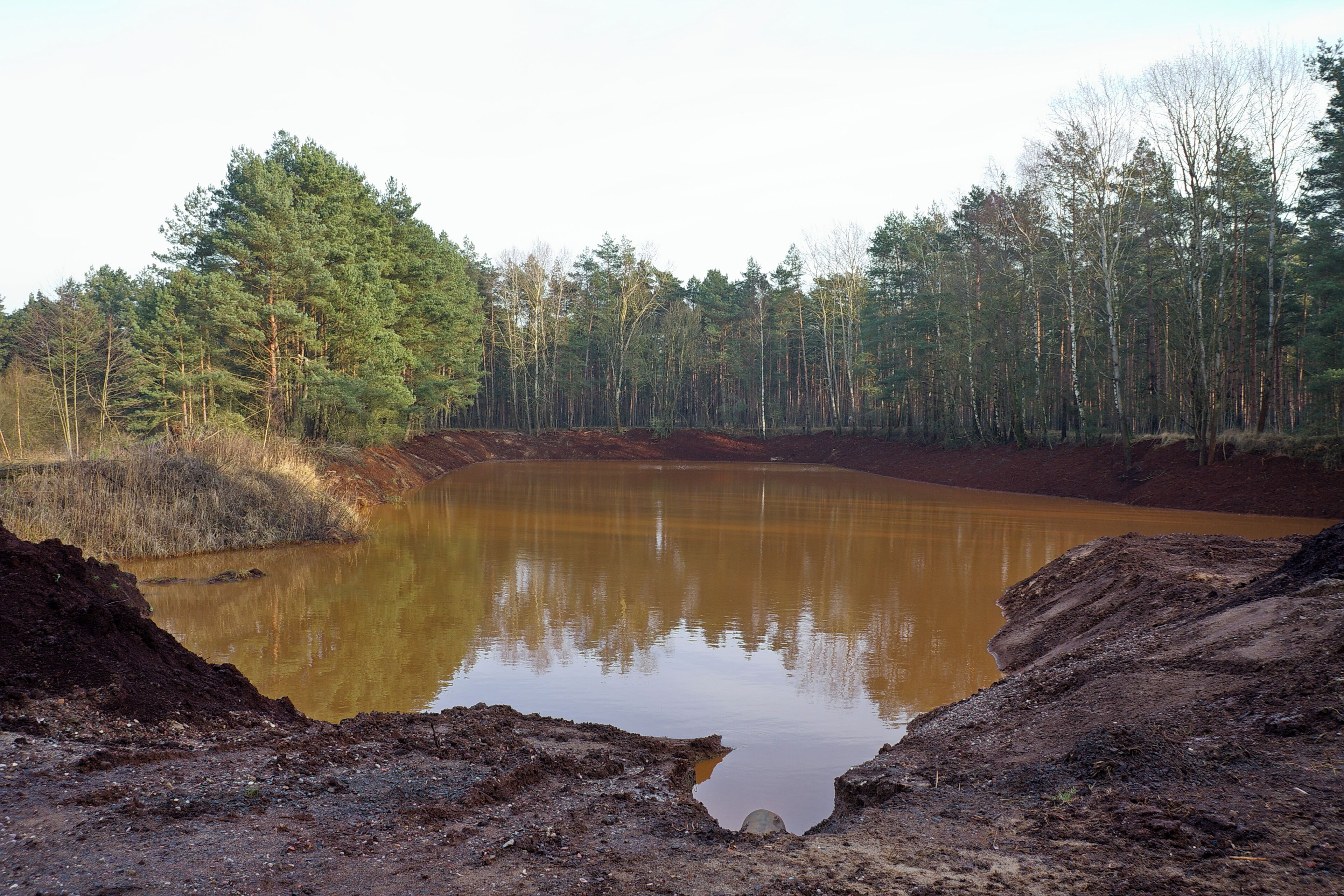 Schlammsickergrube am Wasserwerk Elze-Berkhof im Forst Rundshorn (Wedemark), Niedersachsen, Deutschland