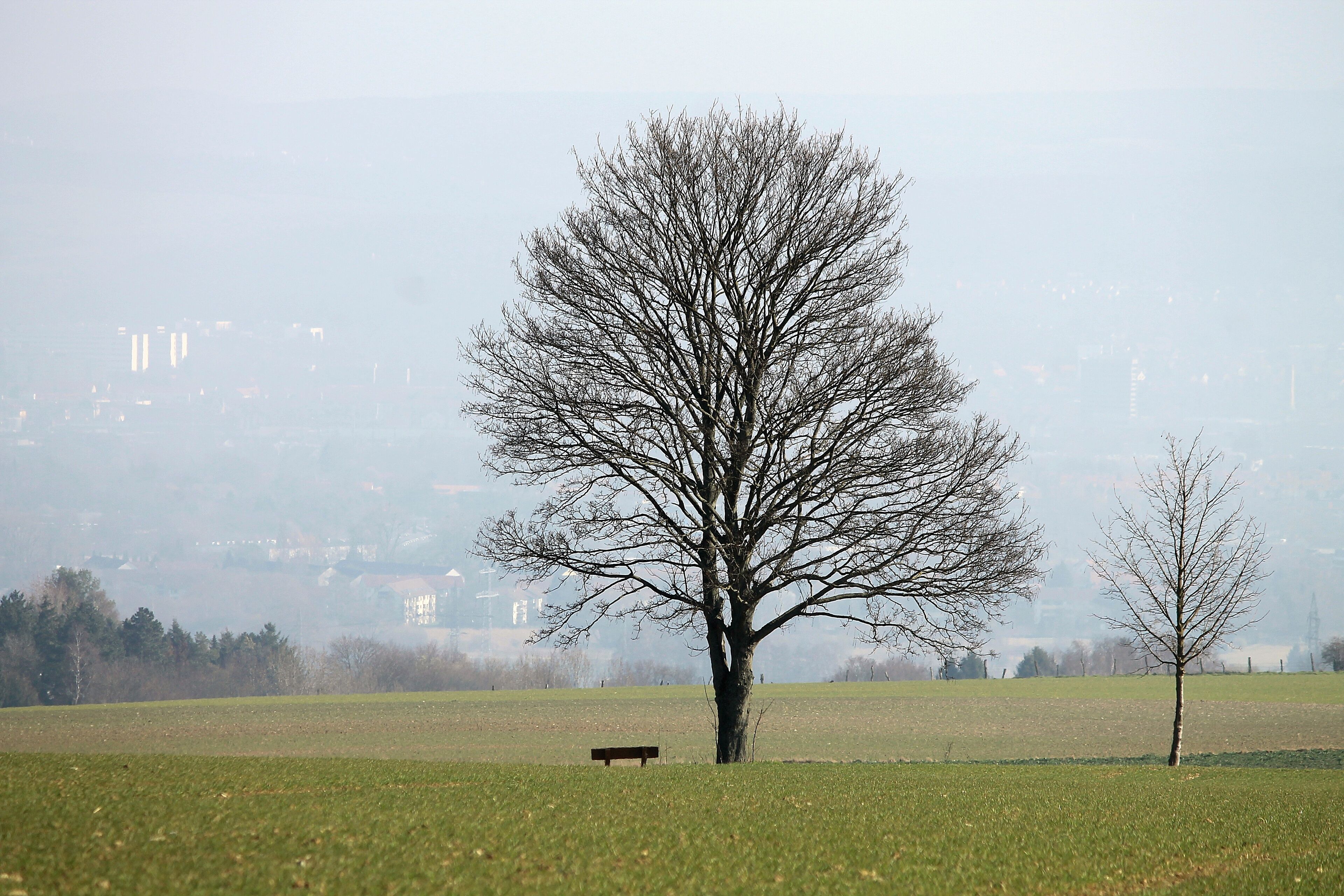 Hetjershausen, Groner Holz