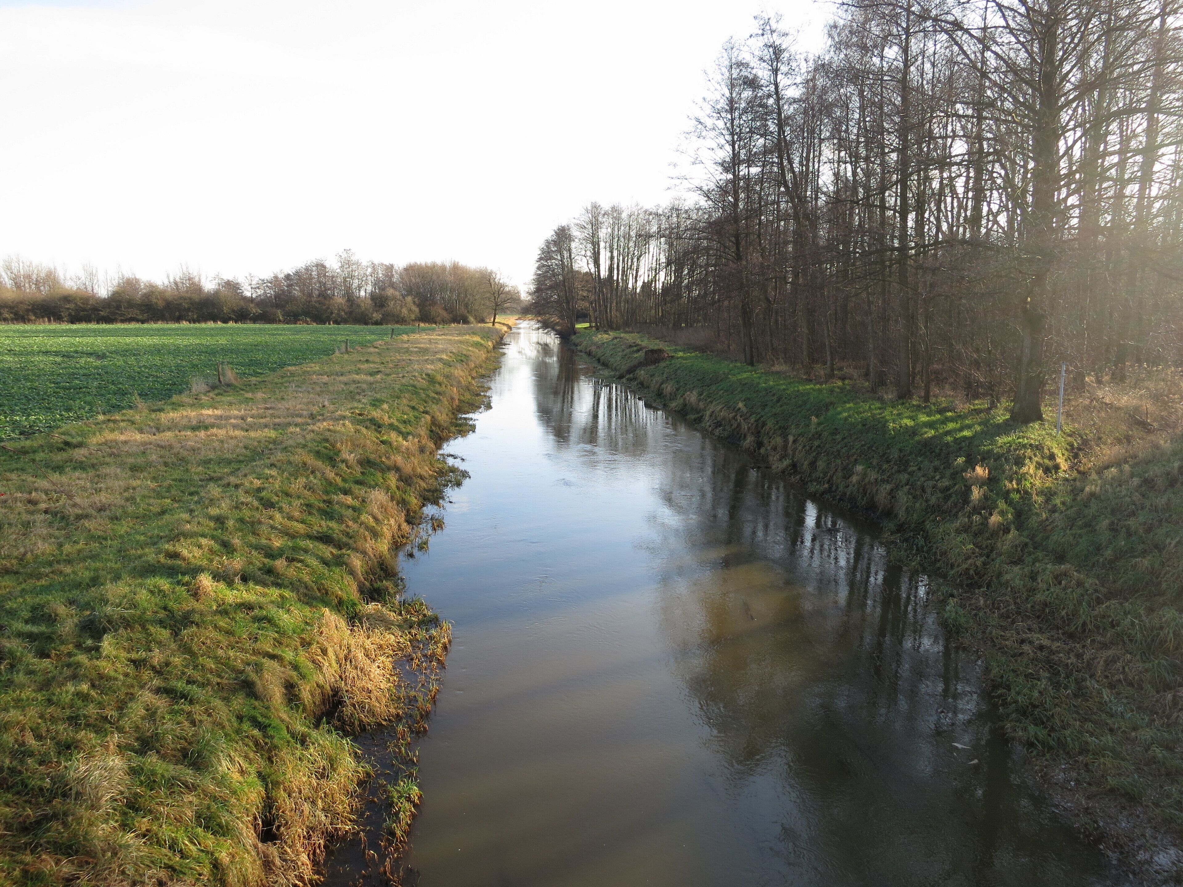 A narrow water channel flanked by grassy banks and trees.
