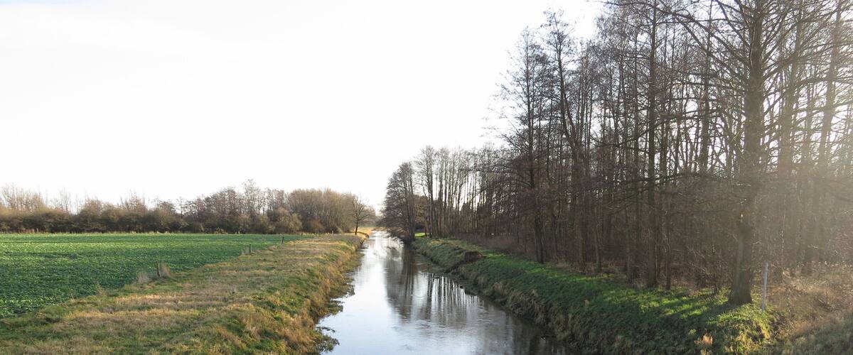A narrow water channel flanked by grassy banks and trees.