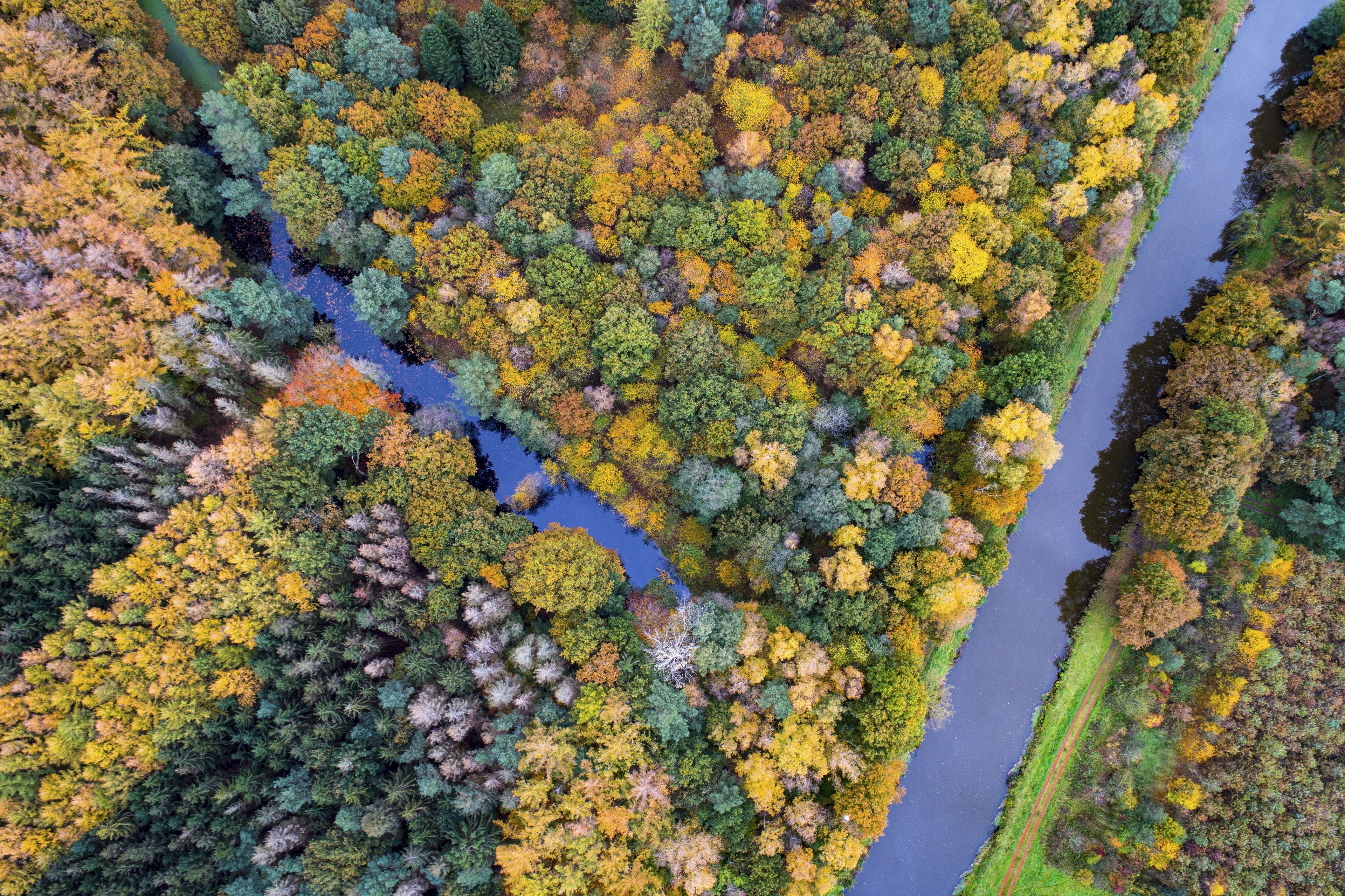 Vista aérea de un río serpenteando a través de una zona boscosa con follaje otoñal.