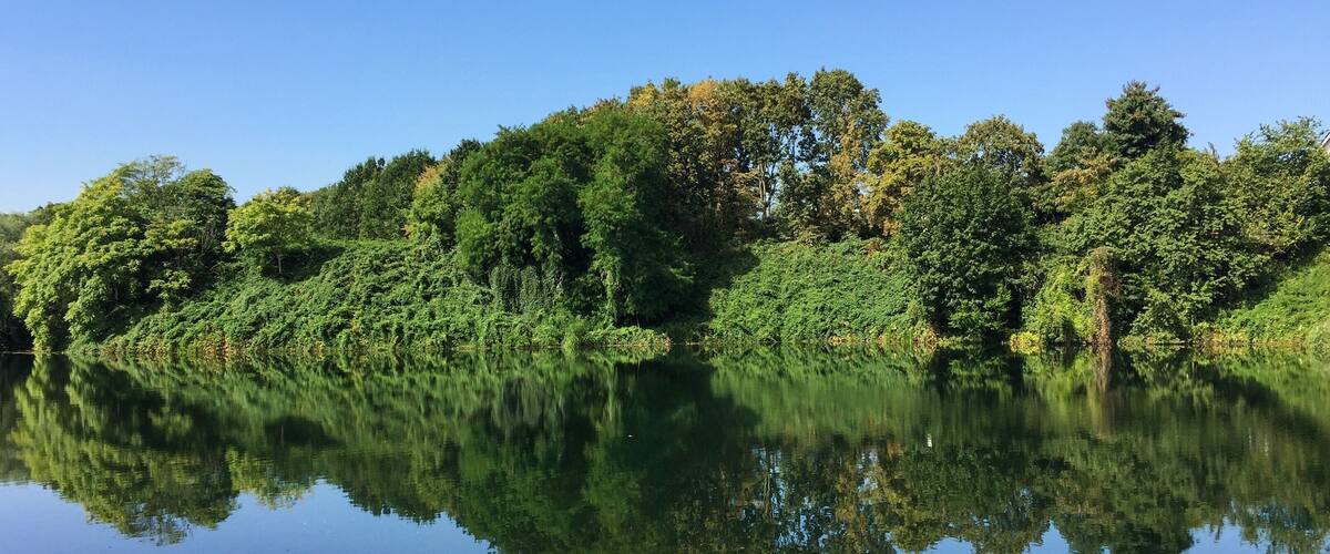 Vogelsanger See (Wassermannsee), Köln-Vogelsang