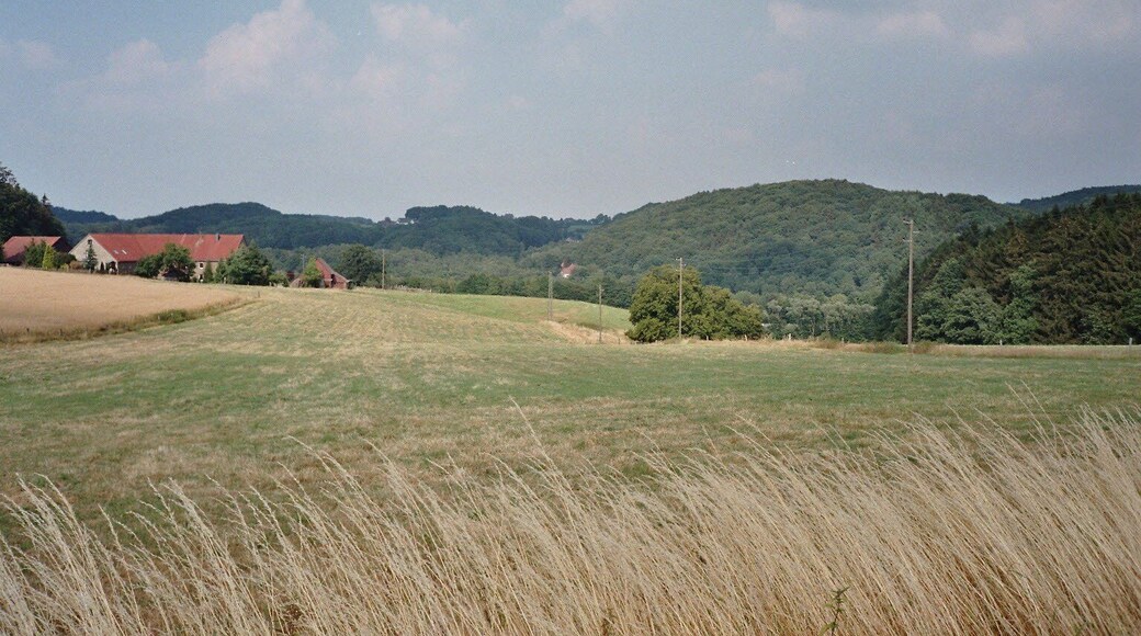 Landschaft im Bereich des Hammertals in Niedersprockhövel, Deutschland; Blick von der Hiddinghauser Straße (Hausnr. 16) am Nordhang des Sirrenbergs zum Hof Niedergethe (links); im Geländeeinschnitt hinter der Hof und vor den Waldhängen im Hintergrund (links Semberg/Stoltenberg in Witten-Durchholz, rechts Schultenbusch in Sprockhövel-Hiddinghausen) verlaufen die A43 und der Pleßbach (das eigentliche Hammertal; dort befindet sich auch rechts etwas außerhalb des Bildes das ehem. Hammerwerk Ibachsmühle). Der abgebildete Bereich gehört weitgehend zum Landschaftsschutzgebiet „Stüter/Sprockhövel/Hiddinghausen“; ein Teil der Wälder im Hintergrund liegt im Landschaftsschutzgebiet „Kämpen/Durchholz“.