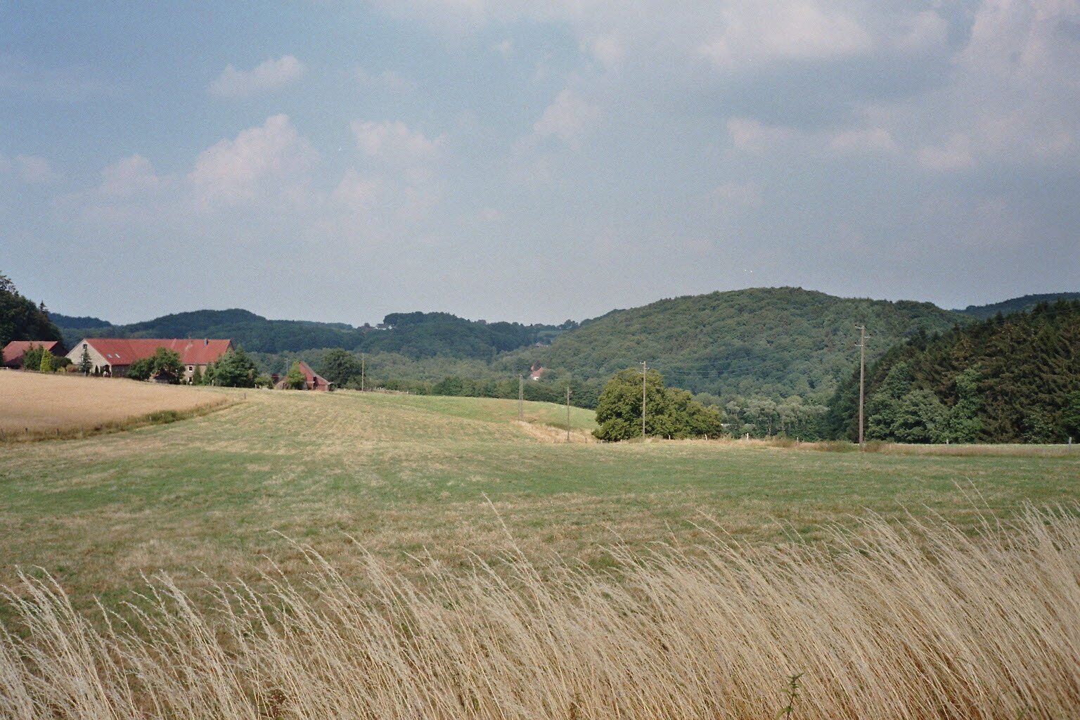 A rural landscape with a field, a red-roofed building, and a hill in the background.