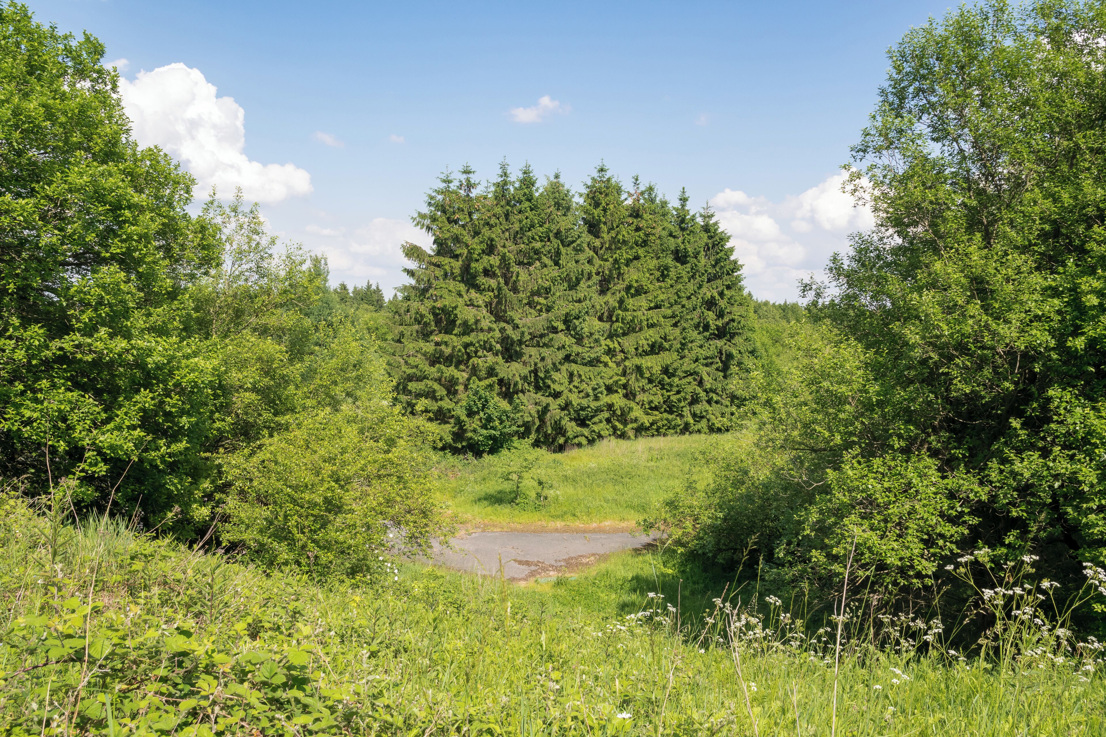 ehemalige belgische FlaRak-Stellung Hausheide im Grenzgebiet Altenbeken/Bad Driburg