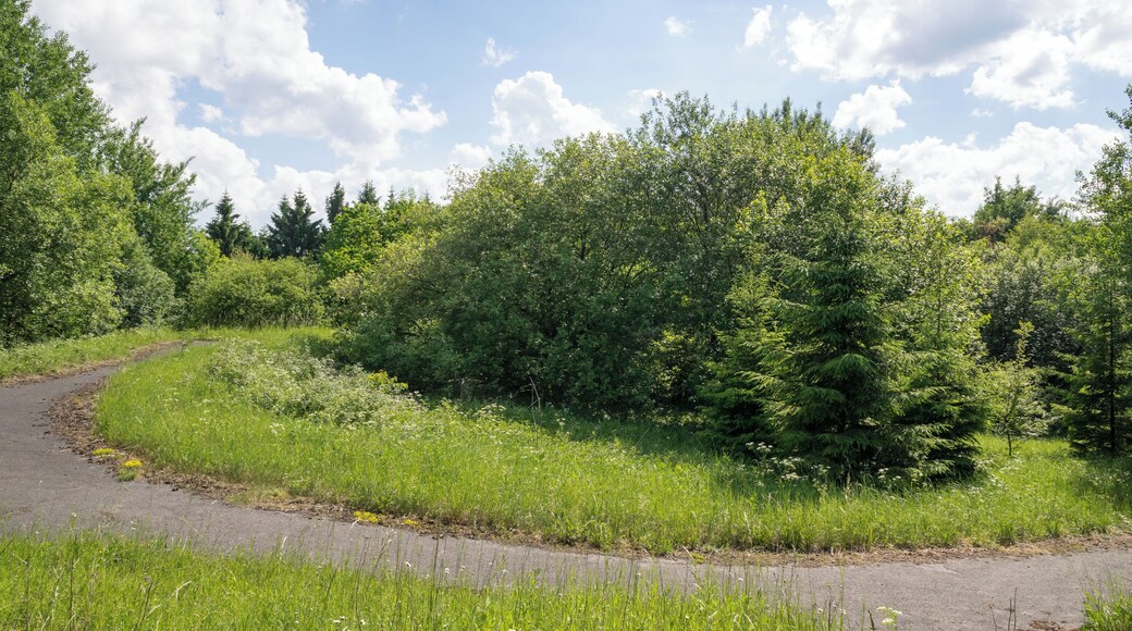 ehemalige belgische FlaRak-Stellung Hausheide im Grenzgebiet Altenbeken/Bad Driburg