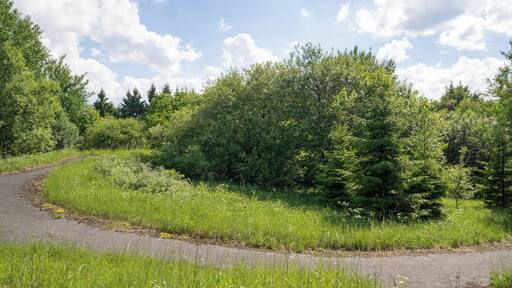 ehemalige belgische FlaRak-Stellung Hausheide im Grenzgebiet Altenbeken/Bad Driburg