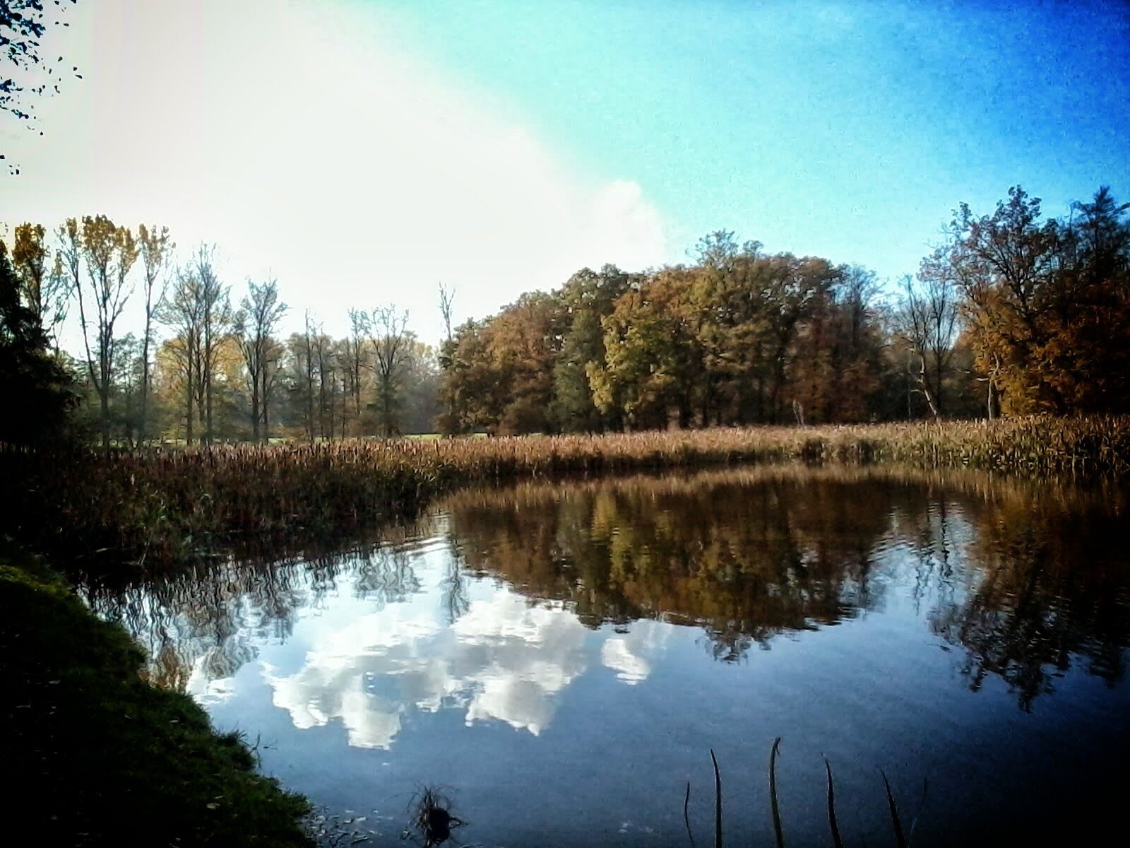 Resser Mark, Gelsenkirchen, Germany