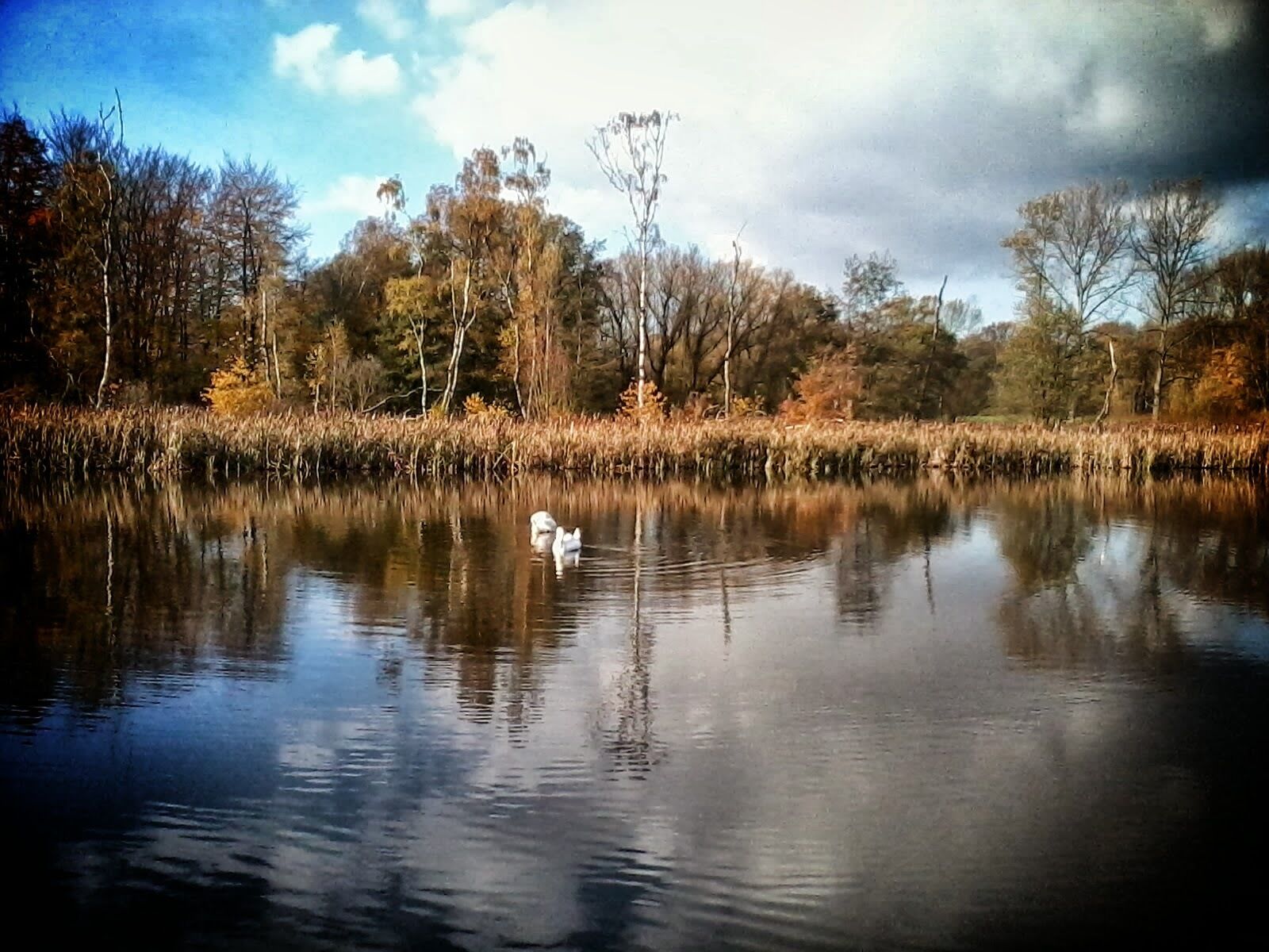 Resser Mark, Gelsenkirchen, Germany