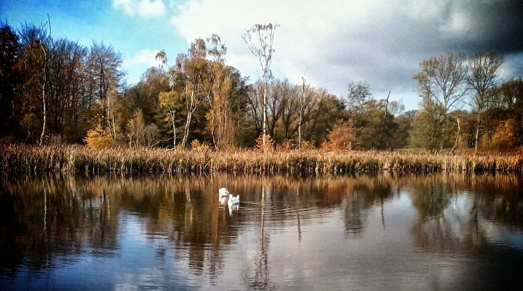 Resser Mark, Gelsenkirchen, Germany