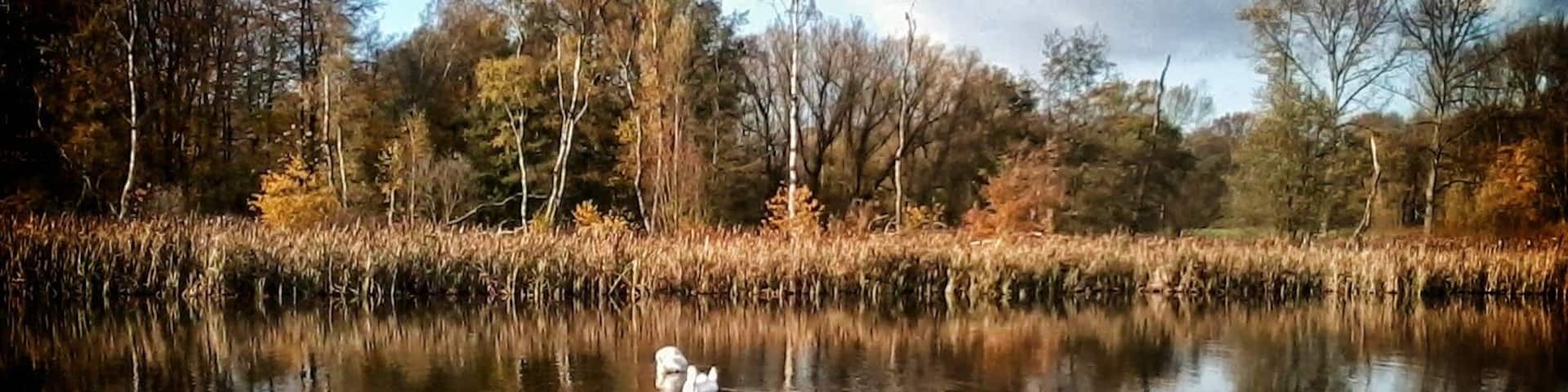 Resser Mark, Gelsenkirchen, Germany