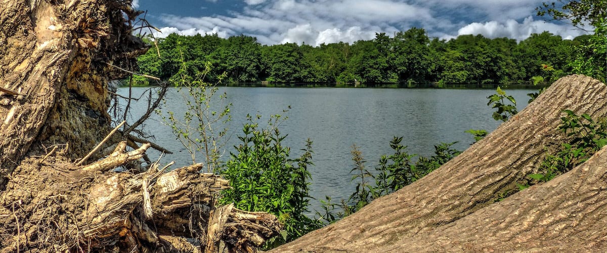 Ewaldsee, Gelsenkirchen Herten, nahe Zeche Ewald !