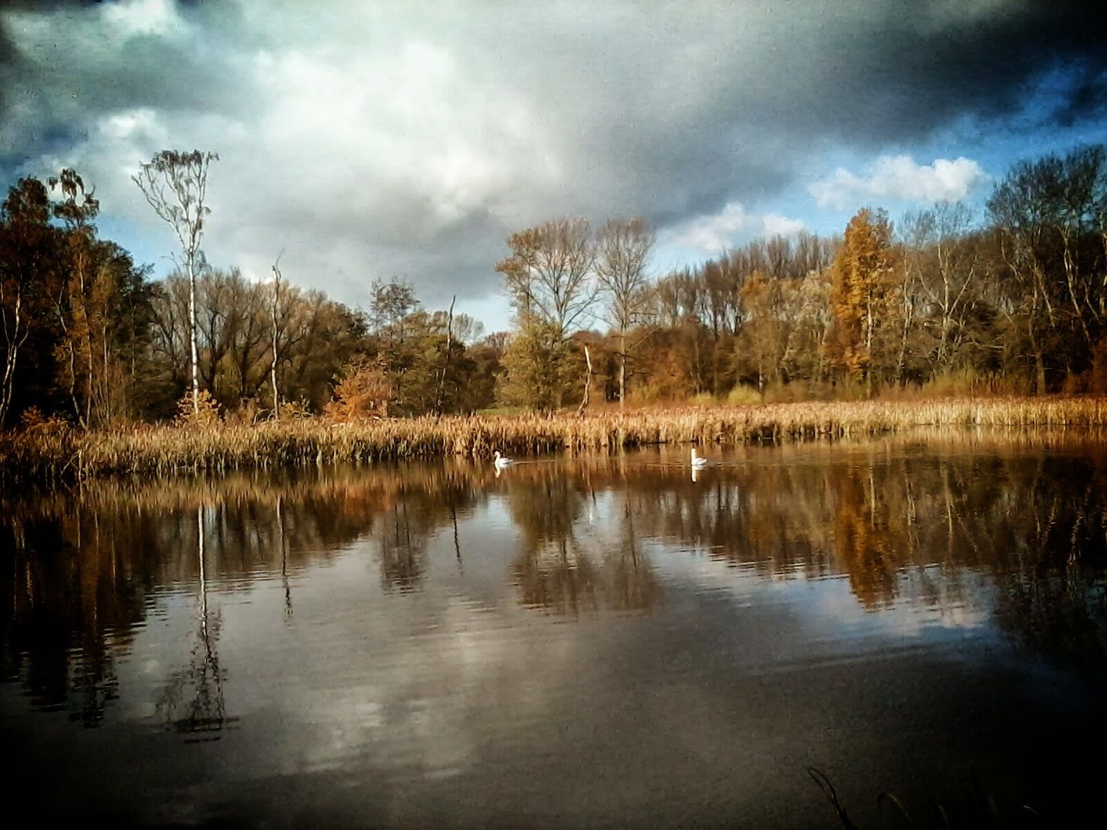 Resser Mark, Gelsenkirchen, Germany