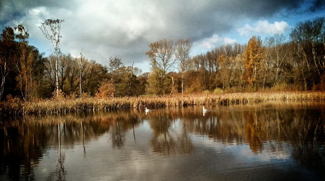 Resser Mark, Gelsenkirchen, Germany
