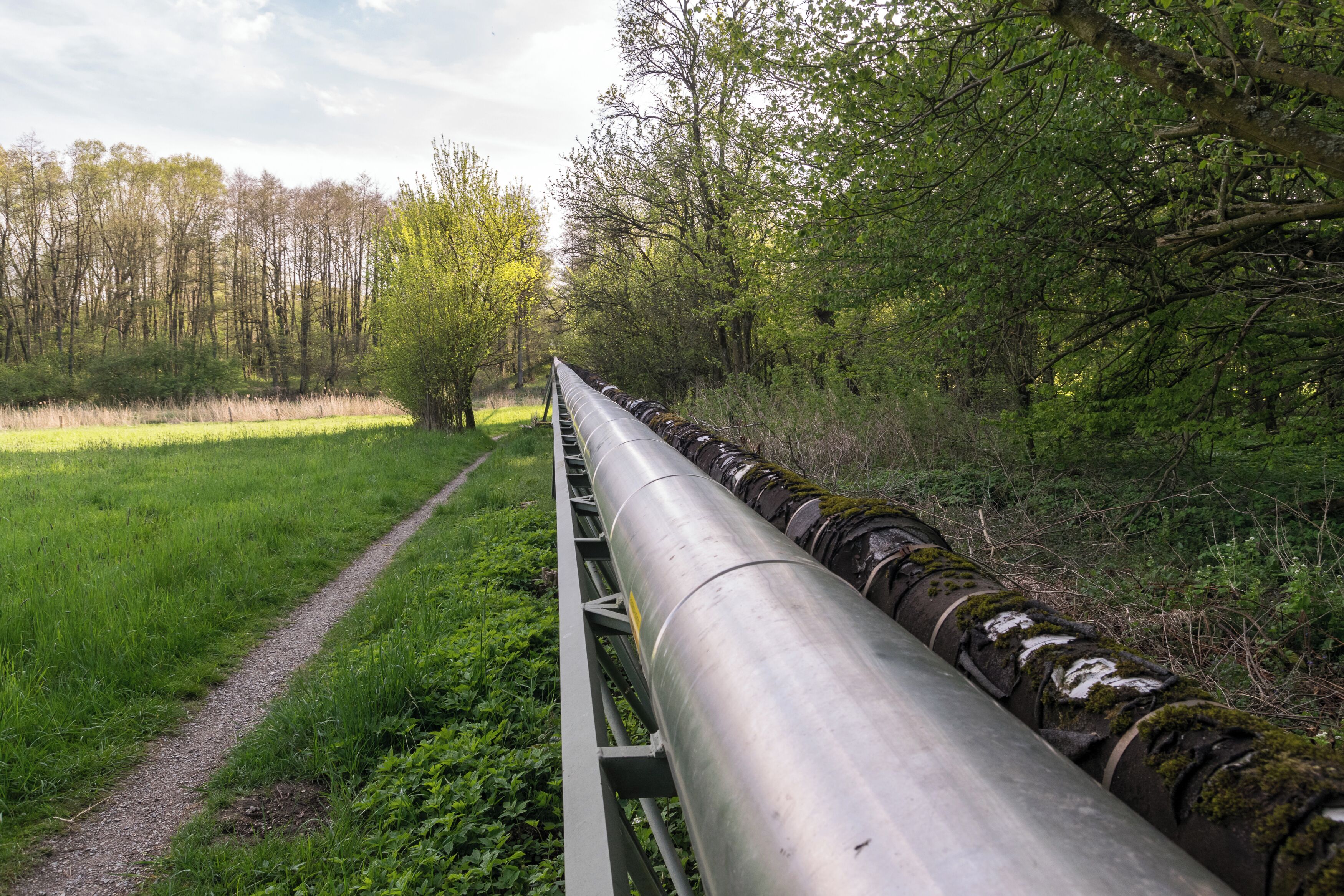 Über diese Pipelines wird frisches Moor vom Moorstich Stinkebrink ins Kurbad transportiert und gebrauchtes wieder zurückgeleitet; die Pipeline verläuft durch das Naturschutzgebiet Norderteich mit Naptetal in Horn-Bad Meinberg, Kreis Lippe