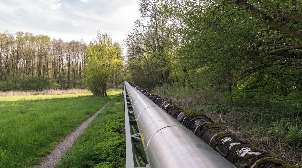 Über diese Pipelines wird frisches Moor vom Moorstich Stinkebrink ins Kurbad transportiert und gebrauchtes wieder zurückgeleitet; die Pipeline verläuft durch das Naturschutzgebiet Norderteich mit Naptetal in Horn-Bad Meinberg, Kreis Lippe
