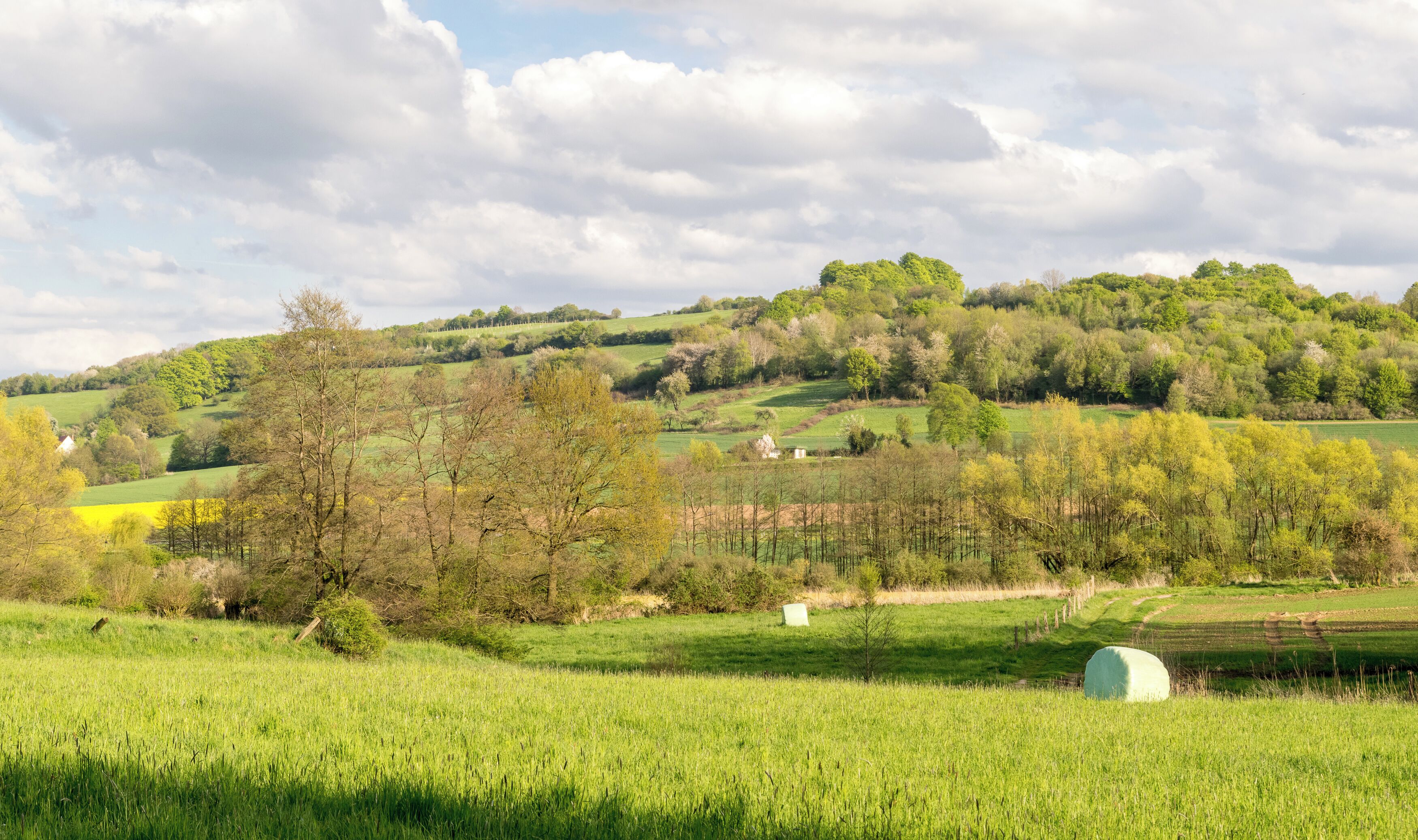 Blick auf den Bellenberg; am Gipfel das LSG Heckenlandschaft Bellenberg-Nord