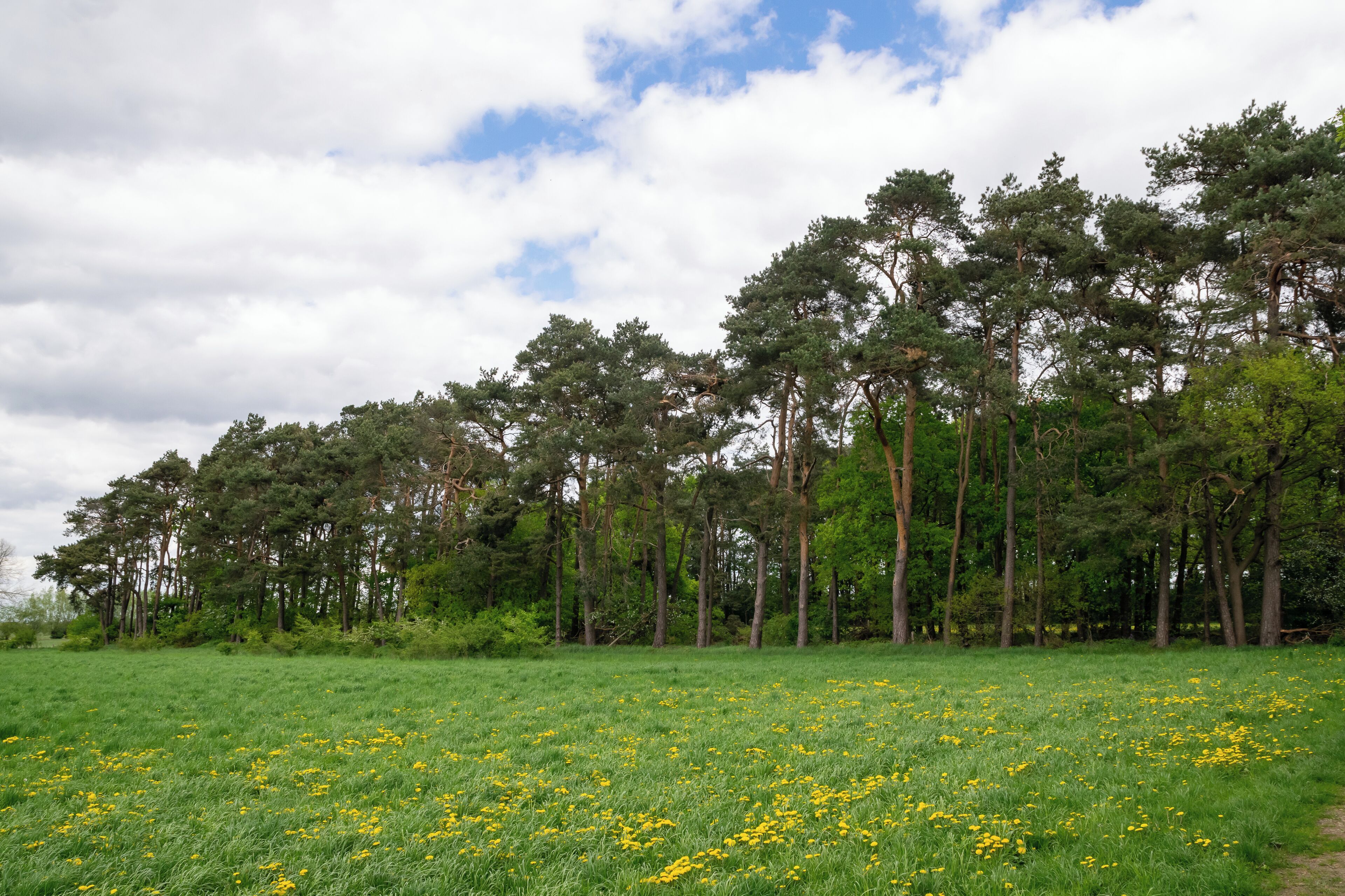 Naturschutzgebiet Gunnewiesen in Delbrück und Salzkotten, Kreis Paderborn; Teilgebiet in Salzkotten