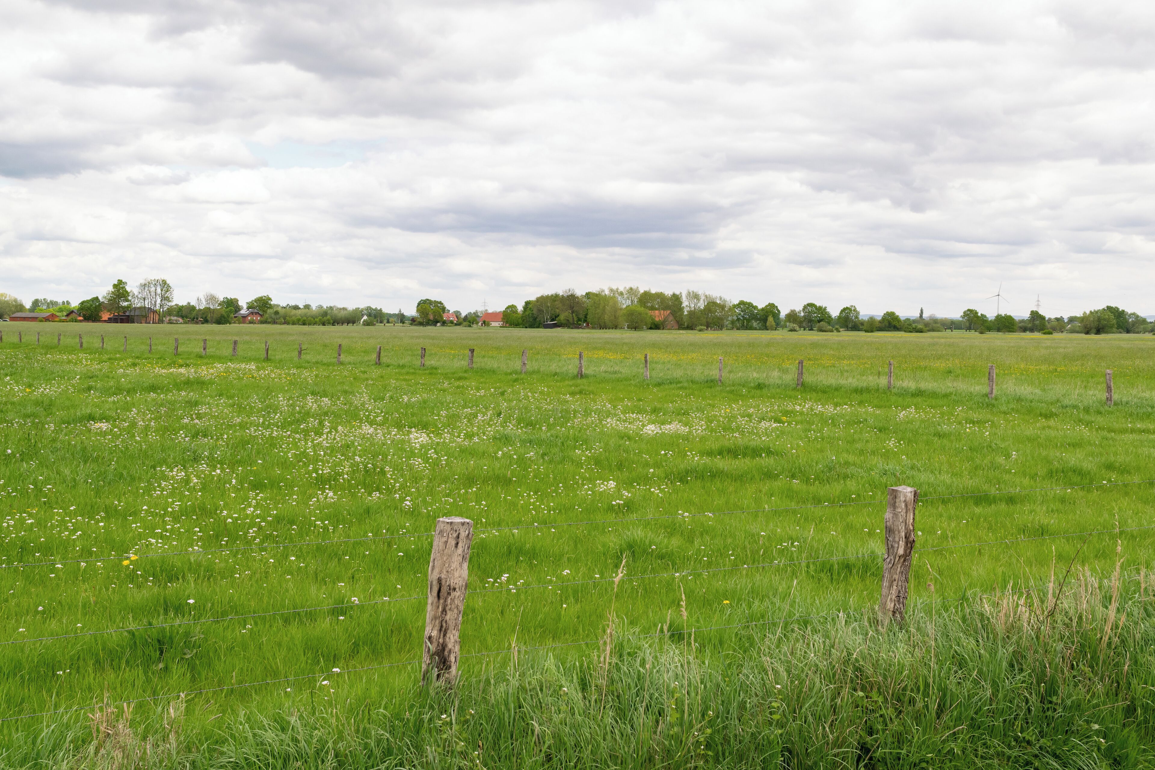 Naturschutzgebiet Gunnewiesen in Delbrück und Salzkotten, Kreis Paderborn; Teilgebiet in Salzkotten