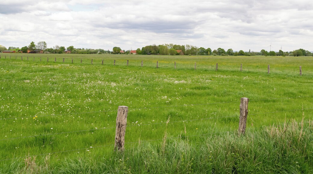 Naturschutzgebiet Gunnewiesen in Delbrück und Salzkotten, Kreis Paderborn; Teilgebiet in Salzkotten